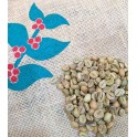 印度樱桃羅巴斯塔咖啡生豆(2kg)