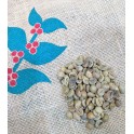 越南天然羅伯斯塔精選1級綠咖啡生豆 (2kg)
